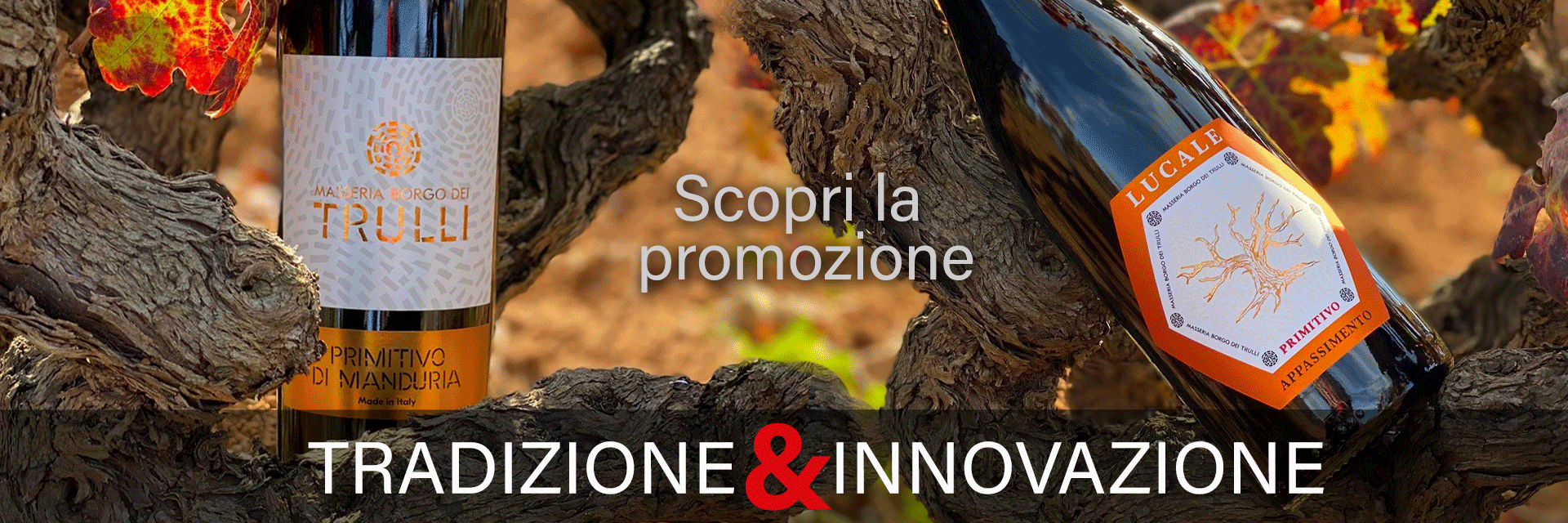 Tradizione & Innovazione